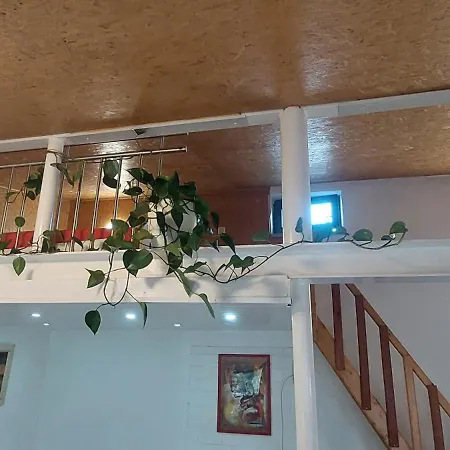 Ferienwohnungen! Kleine Bungalows Mit Terrasse! Stockhausen-Illfurth Room photo
